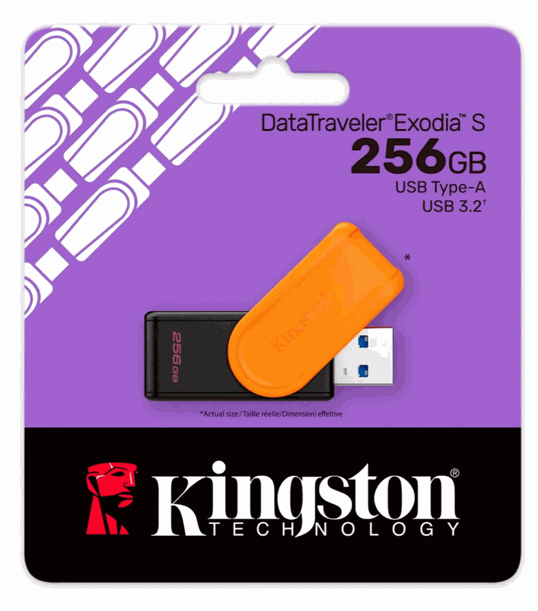 Pendrive kingston 256gb